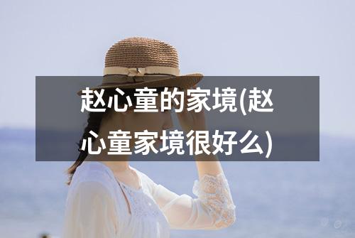 赵心童的家境(赵心童家境很好么)